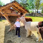Zagroda Alpaka Chmielno