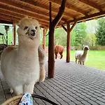 Zagroda Alpaka *