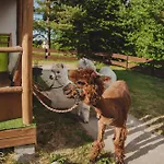 Zagroda Alpaka Holiday home Chmielno