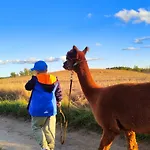 度假居 Zagroda Alpaka 切米诺