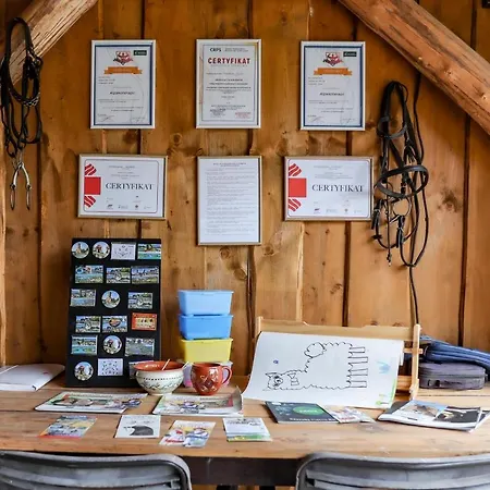 Zagroda Alpaka * Chmielno