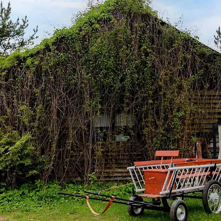 Zagroda Alpaka Hébergement de vacances