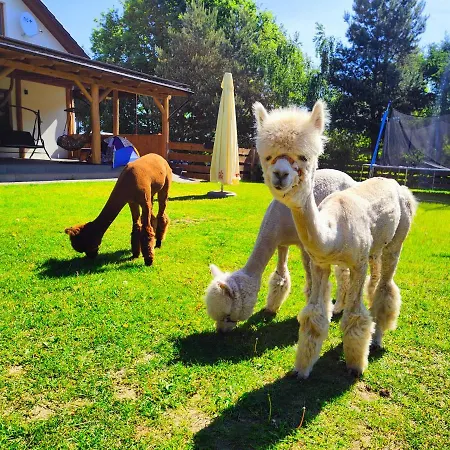 Holiday home Zagroda Alpaka Chmielno