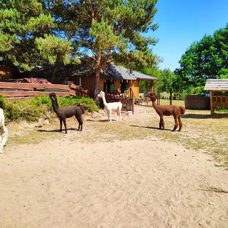 Casa de Férias Zagroda Alpaka Chmielno