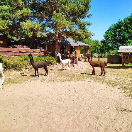 Semesterbostad Na Slonecznikowej Chmielno