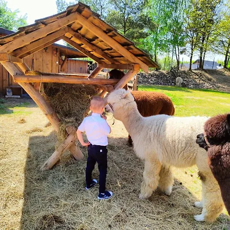 Zagroda Alpaka Chmielno