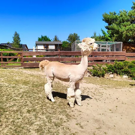 Zagroda Alpaka Semesterbostad *