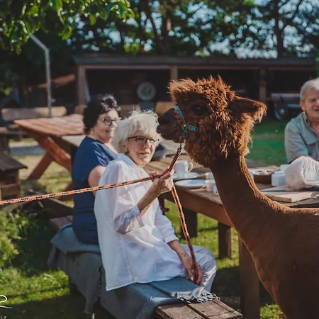 Zagroda Alpaka Hébergement de vacances Chmielno