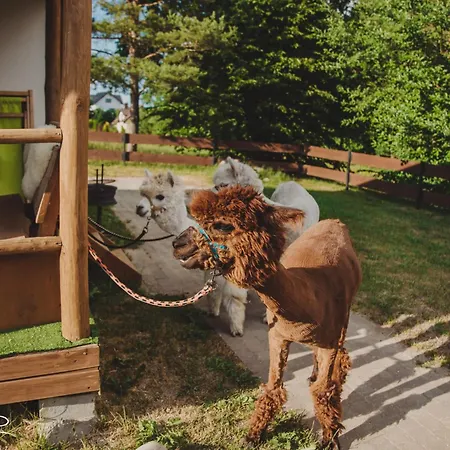 Zagroda Alpaka Hébergement de vacances Chmielno