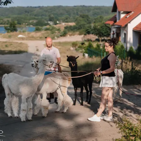 Na Slonecznikowej *