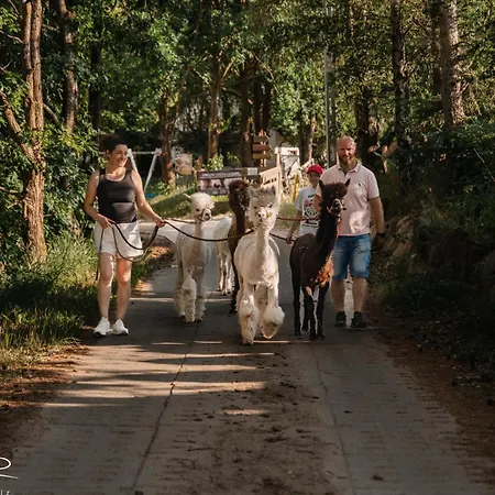 Zagroda Alpaka Chmielno