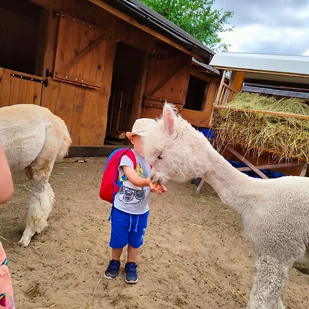 Zagroda Alpaka Hébergement de vacances