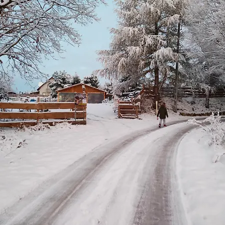 Semesterbostad Zagroda Alpaka Chmielno