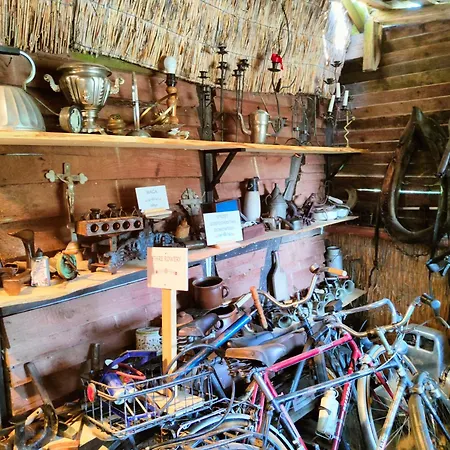 Zagroda Alpaka * Chmielno