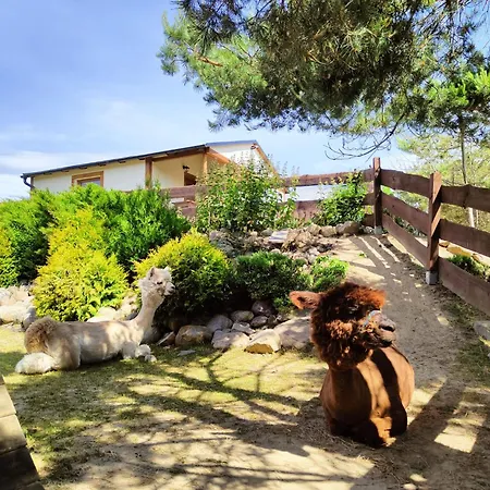 Hébergement de vacances Zagroda Alpaka