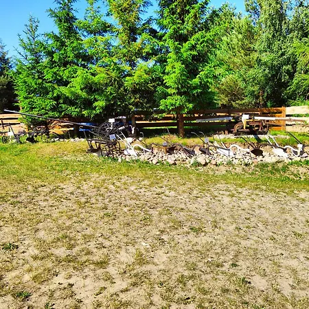 Zagroda Alpaka Chmielno