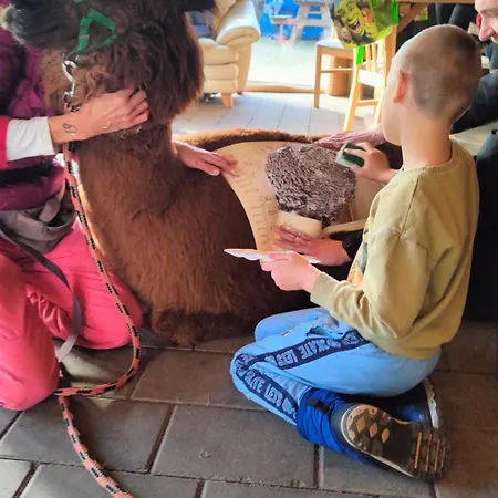 Zagroda Alpaka Holiday home *