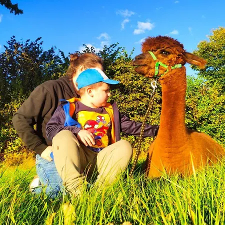 Semesterbostad Zagroda Alpaka Chmielno