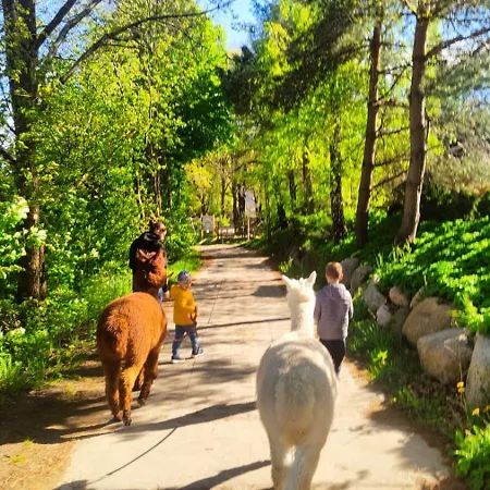 Zagroda Alpaka Semesterbostad