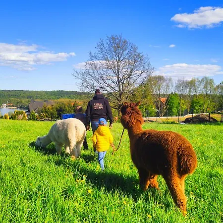 Semesterbostad Zagroda Alpaka *