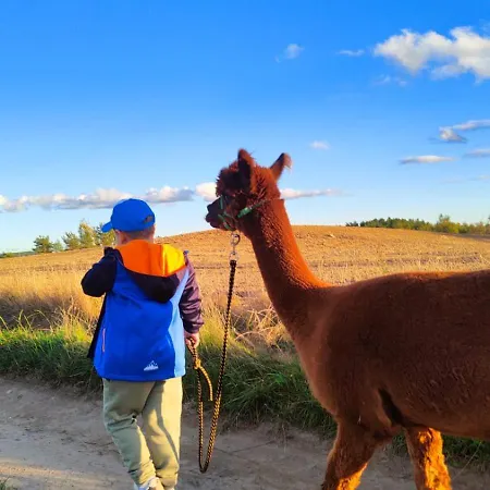 Semesterbostad Zagroda Alpaka Chmielno