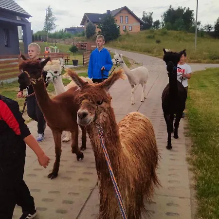 Zagroda Alpaka *