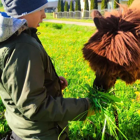 Zagroda Alpaka Semesterbostad Chmielno