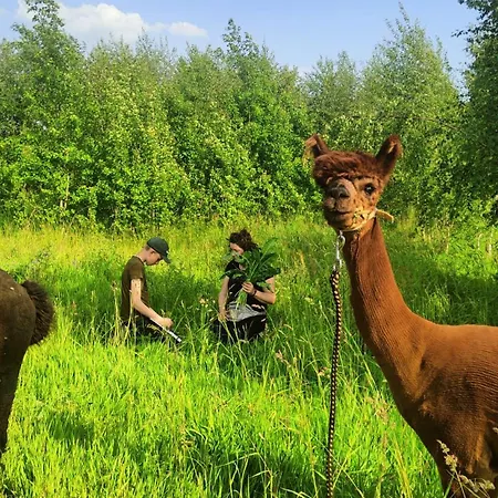 Semesterbostad Zagroda Alpaka Chmielno