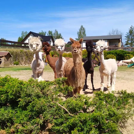 Zagroda Alpaka Semesterbostad *