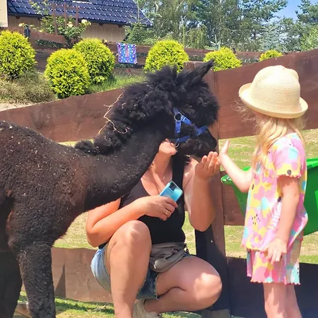 Zagroda Alpaka Chmielno