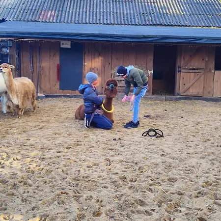 Zagroda Alpaka Chmielno