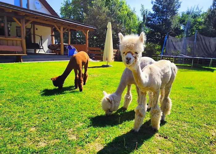 度假居 Zagroda Alpaka 切米诺