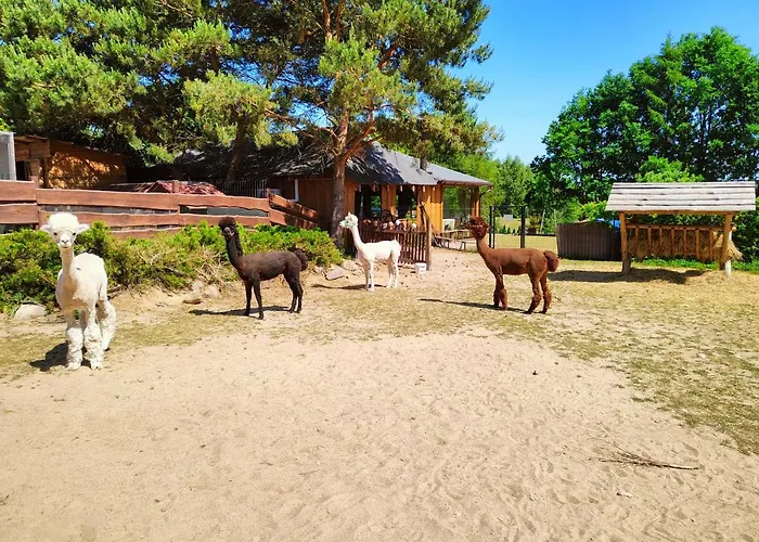 Сasa de vacaciones Zagroda Alpaka Chmielno