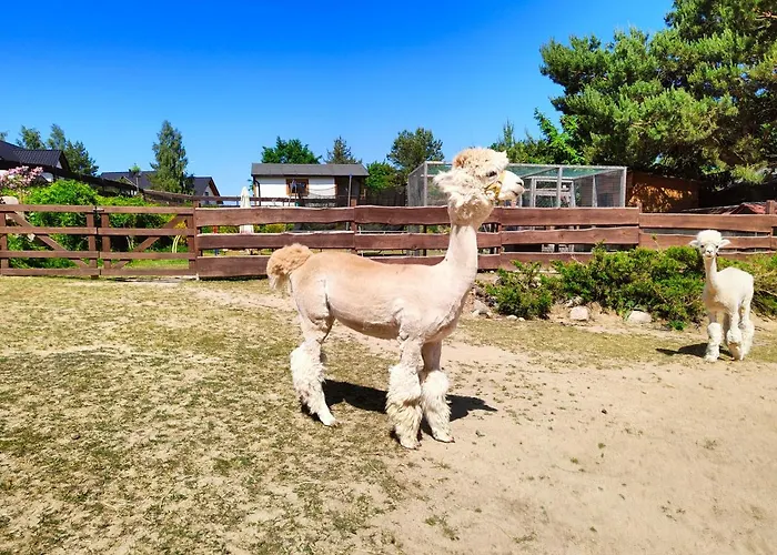 Zagroda Alpaka Сasa de vacaciones *