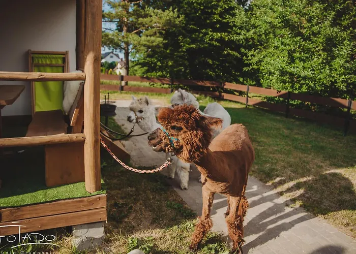 Zagroda Alpaka 度假居 切米诺