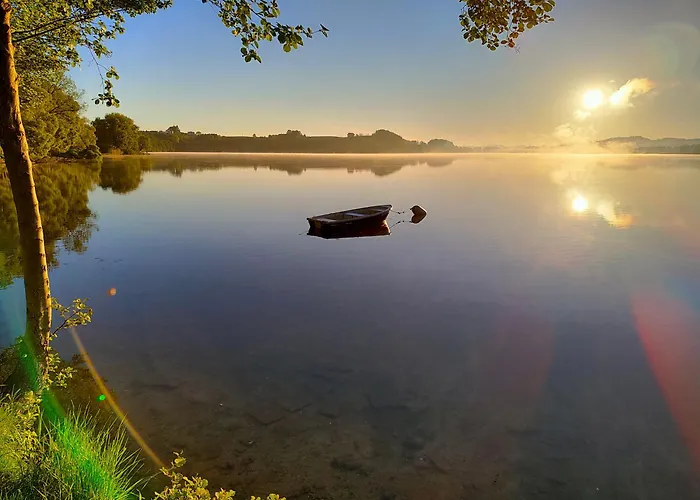 Zagroda Alpaka * 切米诺