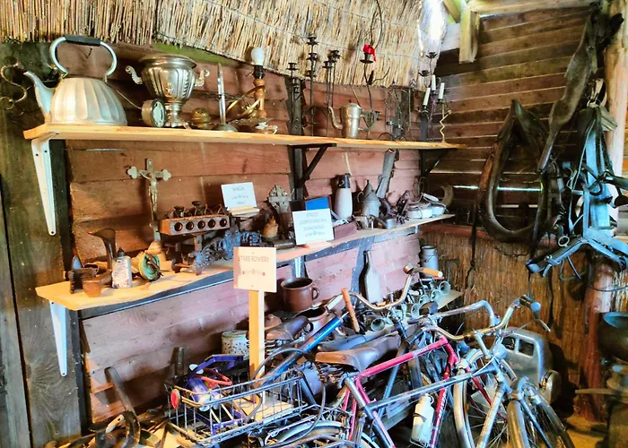 Zagroda Alpaka * 切米诺