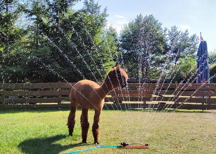 Zagroda Alpaka 度假居 切米诺