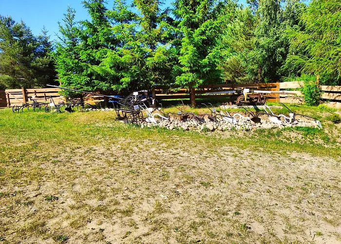 Zagroda Alpaka 切米诺