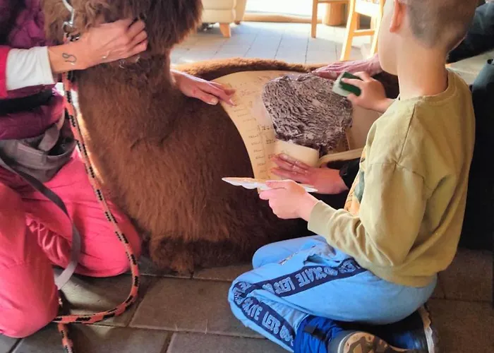 Zagroda Alpaka 度假居 *