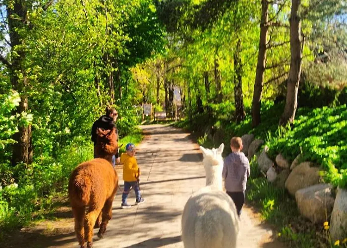 Zagroda Alpaka 度假居