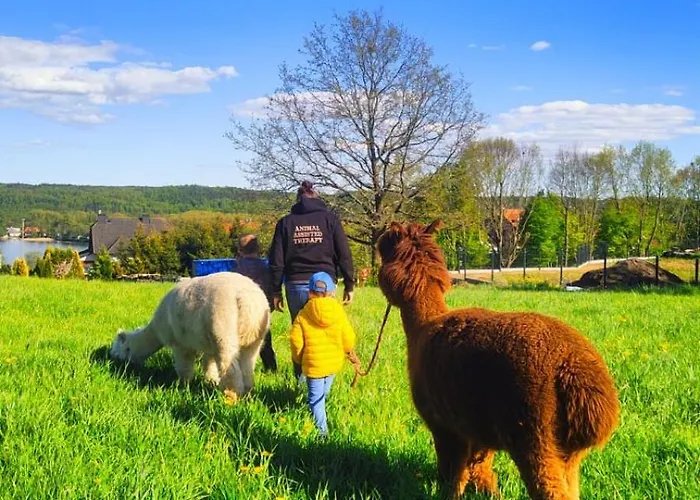 度假居 Zagroda Alpaka *