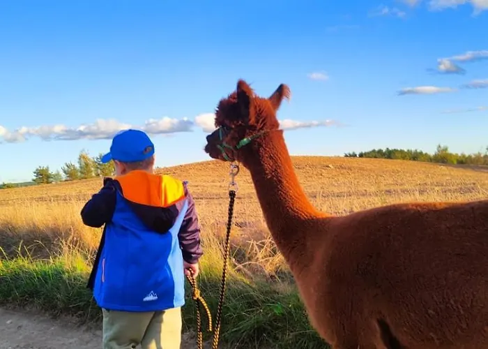 度假居 Zagroda Alpaka 切米诺
