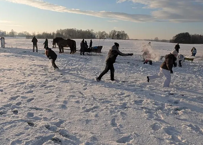Zagroda Alpaka 度假居