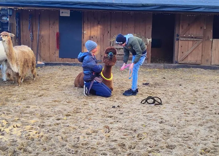 Zagroda Alpaka 切米诺