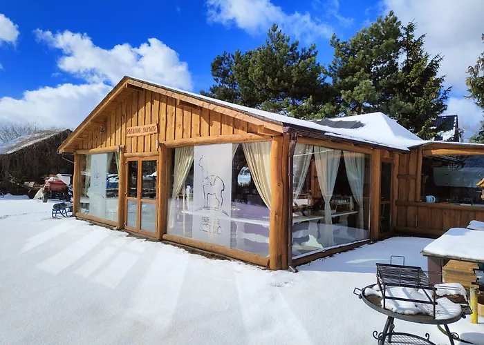 Zagroda Alpaka 切米诺