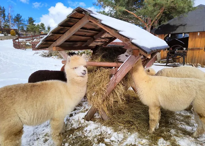 度假居 Zagroda Alpaka *