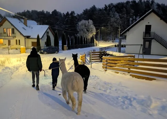 Zagroda Alpaka 度假居 切米诺